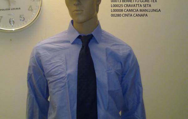 Camicia e cravatta
